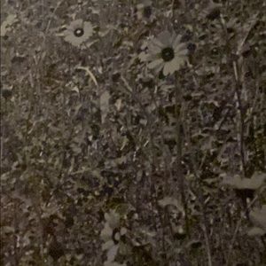 Meet your Posher, Karilyn